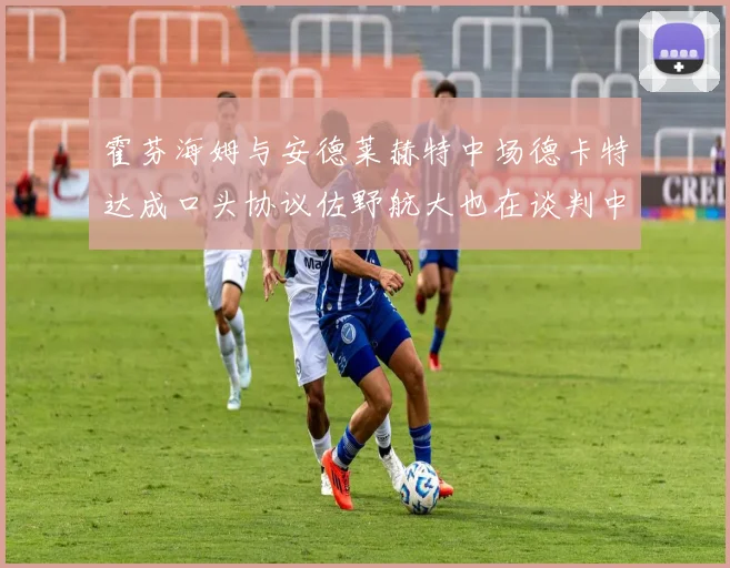 霍芬海姆与安德莱赫特中场德卡特达成口头协议佐野航大也在谈判中