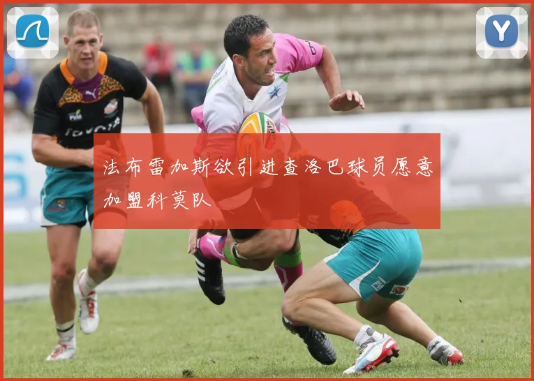 法布雷加斯欲引进查洛巴球员愿意加盟科莫队