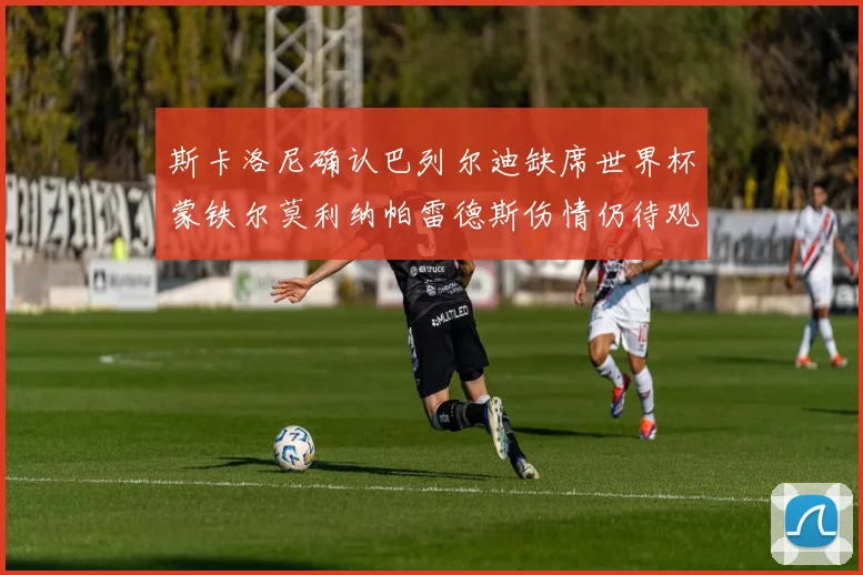 斯卡洛尼确认巴列尔迪缺席世界杯蒙铁尔莫利纳帕雷德斯伤情仍待观察